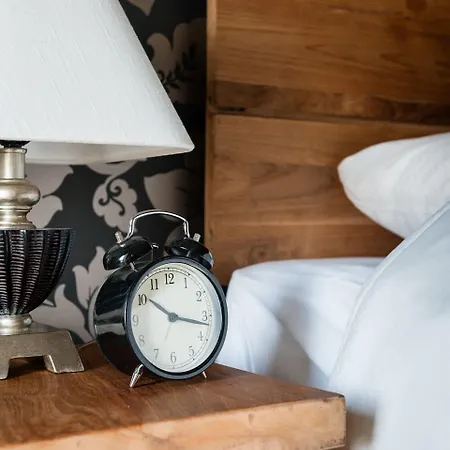 Havezathe Carpe Diem Hotel Vethuizen