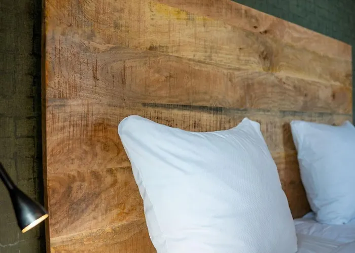 Havezathe Carpe Diem 3*