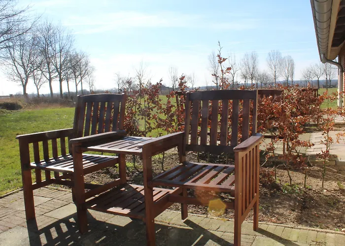 Havezathe Carpe Diem 3*