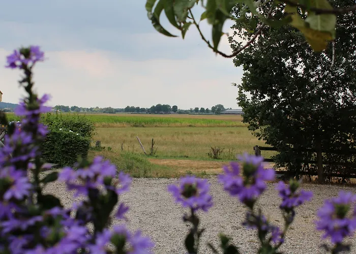 Havezathe Carpe Diem Hotel Vethuizen